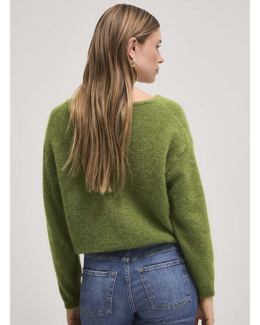 Icône Green Fuzzy Mohair And Alpaca