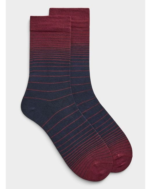 Lindbergh Purple Graded for men