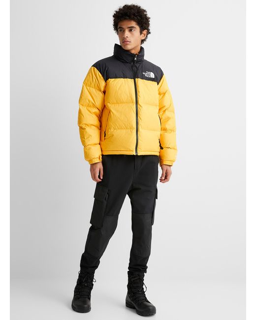 the north face multicolor jacket