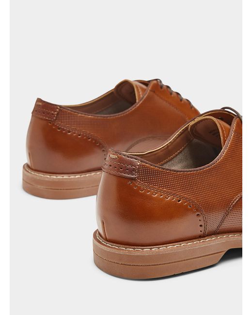 Steve Madden Brown Maroone Derby Shoes Men for men