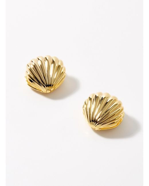 Orelia Metallic Golden Shell Earrings