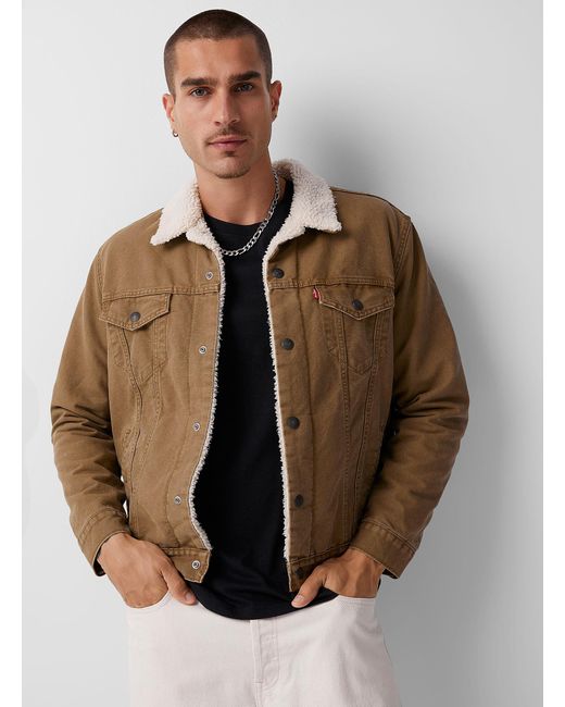 Levi's Brown Sherpa for men