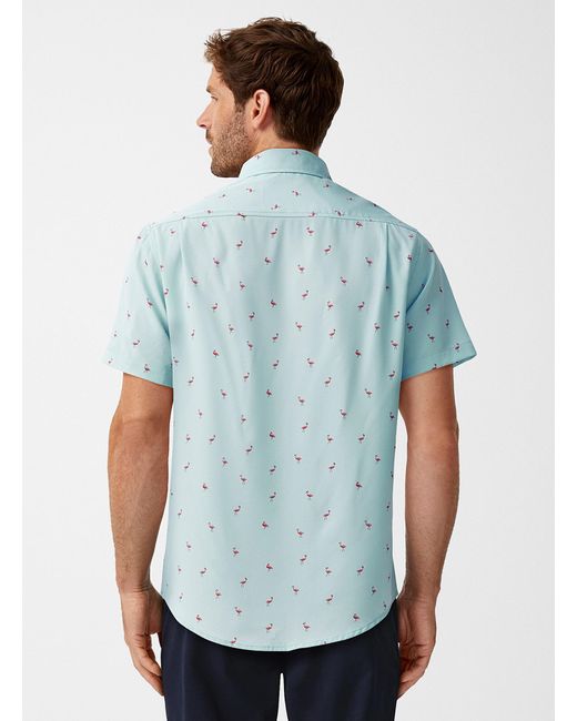 Report Collection Blue Soft Little Flamingos Shirt for men