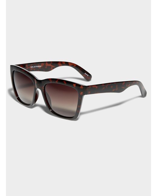 Simon's Brown Polarized Massive Cats