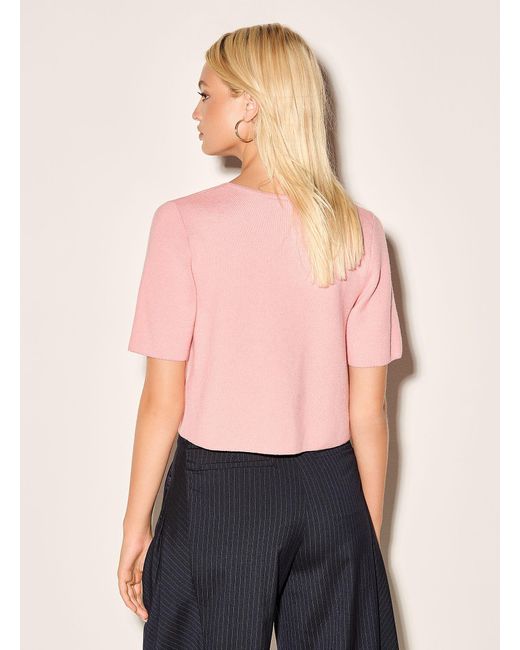 Icône Pink Thick