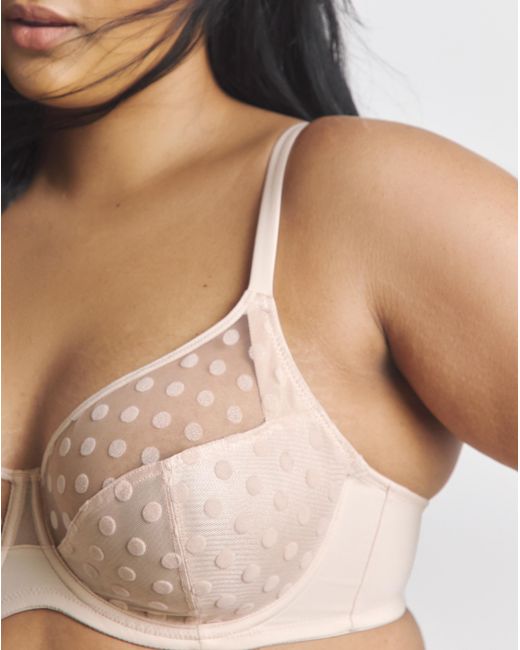 Pretty Secrets Multicolor 2 Pack Hannah Everyday Spot Mesh Bras