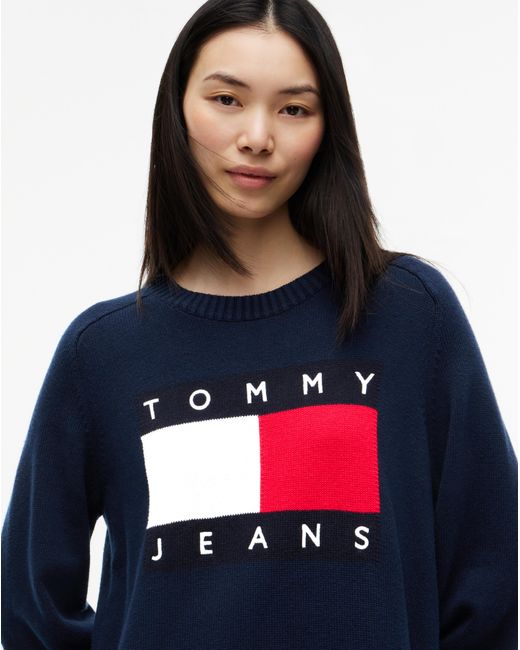 Tommy Hilfiger Blue Sweater Flag Dress