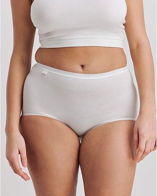 Sloggi Blue 3Pk Basic Maxi Knicker Multi