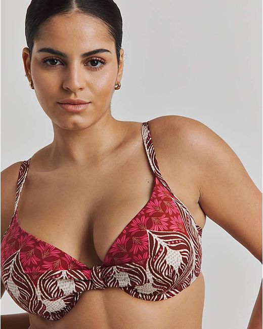 JD Williams Brown Underwired Bikini Top