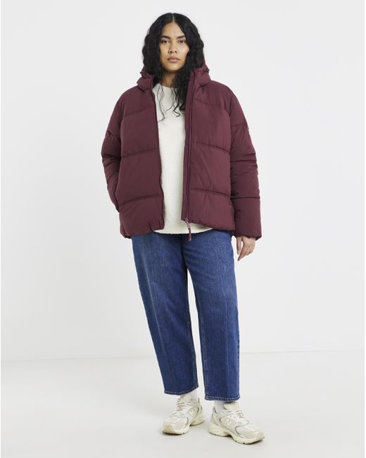 Regatta Purple Roxienne Coat
