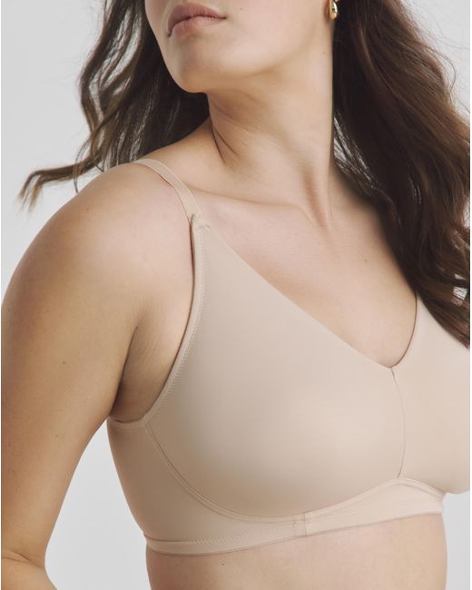 Pretty Secrets Multicolor 3 Pack Claire Micro Full Cup Nw Bras