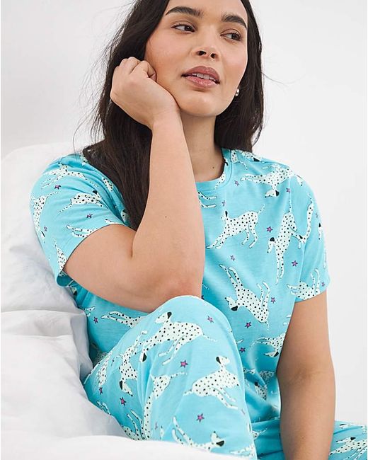 Pretty Secrets Blue Value Dog Pyjama Set
