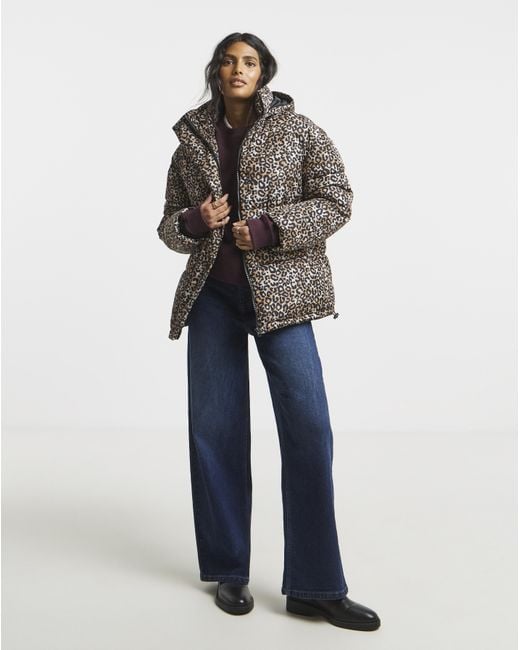 Simply Be Blue Print Padded Coat With Hood