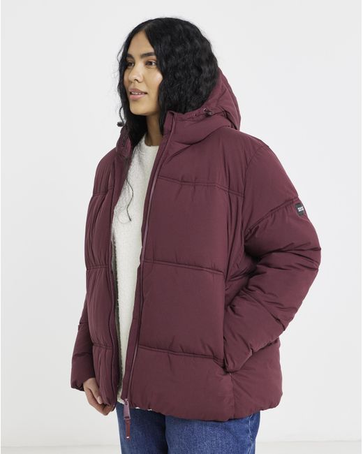 Regatta Purple Roxienne Coat