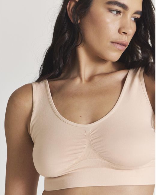 Pretty Secrets Multicolor 3 Pack Comfort Tops