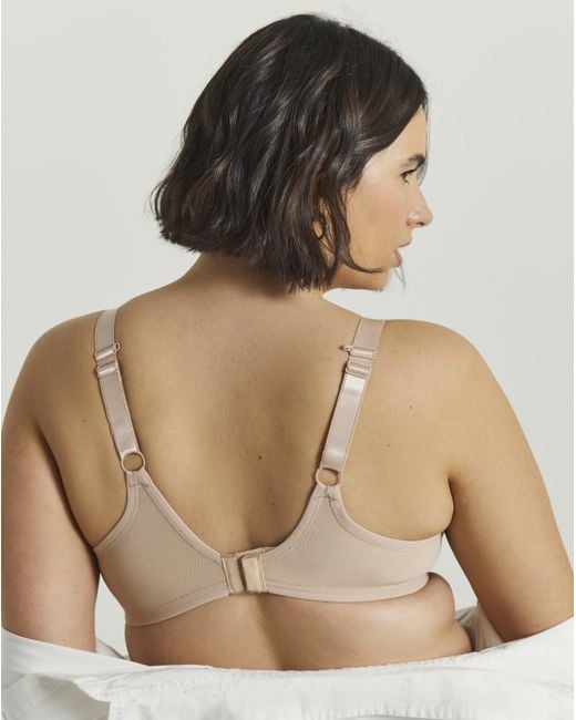 Elomi Brown Tiernie Plunge Wired Bra