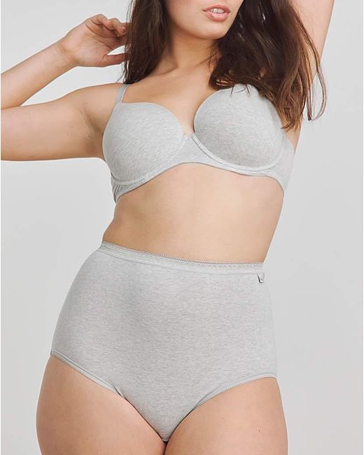 Slimma Gray 4 Pack Full Briefs