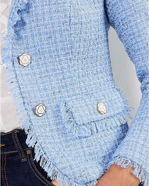 Joe Browns Blue Jb Let's Do Lunch Boucle Jacket