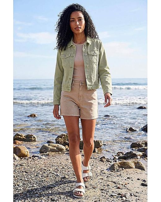 Roman Blue Roman Classic Cotton Denim Jacket