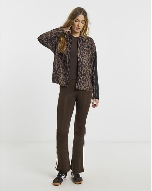 Adidas Brown Print 3 Stripe Jacket