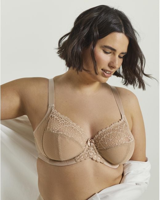 Elomi Brown Tiernie Plunge Wired Bra
