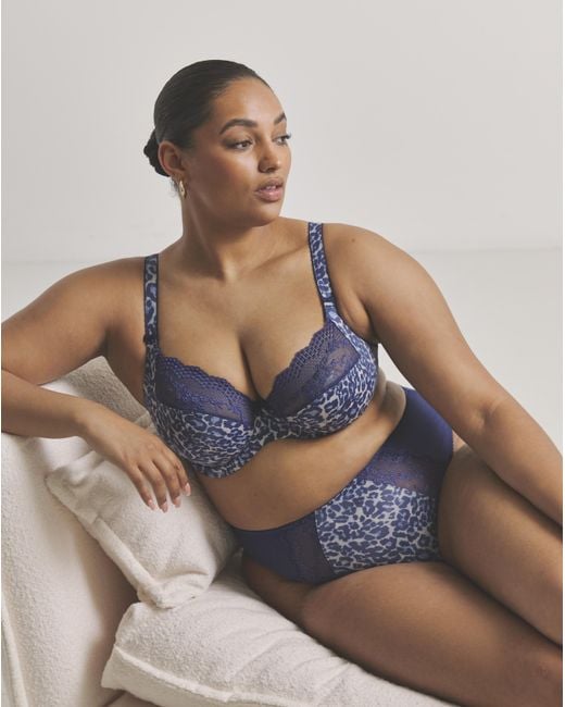 Elomi Blue Lucie High Leg Knicker