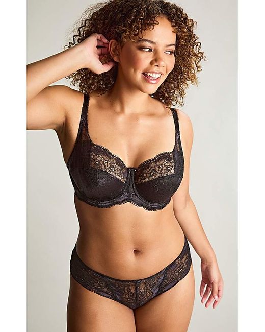 Panache Multicolor Clara Full Cup Wired Bra