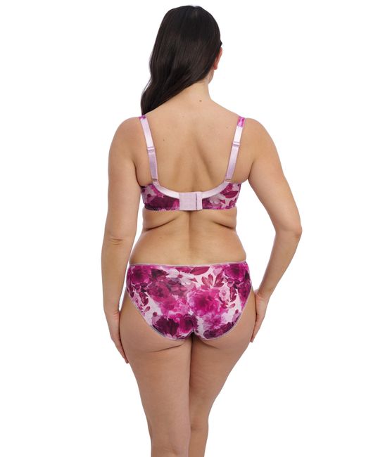 Fantasie Pink Pippa Full Cup Wired Bra Rasp