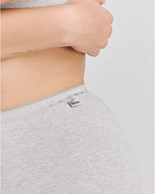 Slimma Gray 4 Pack Full Briefs