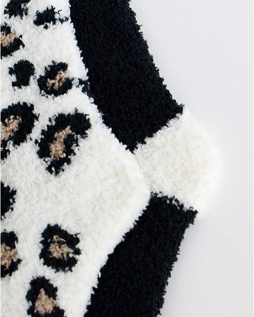 Pretty Secrets Multicolor (2 Pair Pack) Cosy Socks