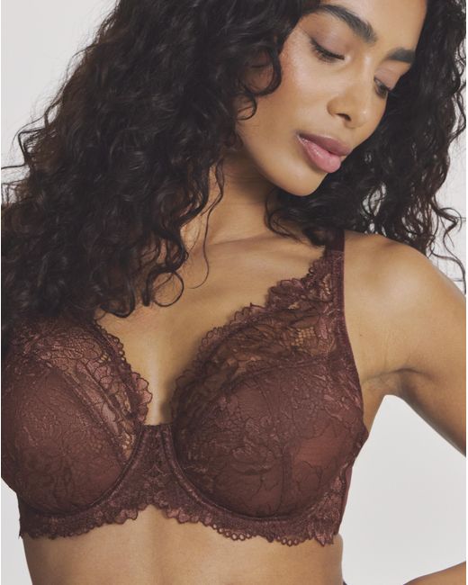 Pretty Secrets Brown 2 Pack Ella Full Cup Wired Bras