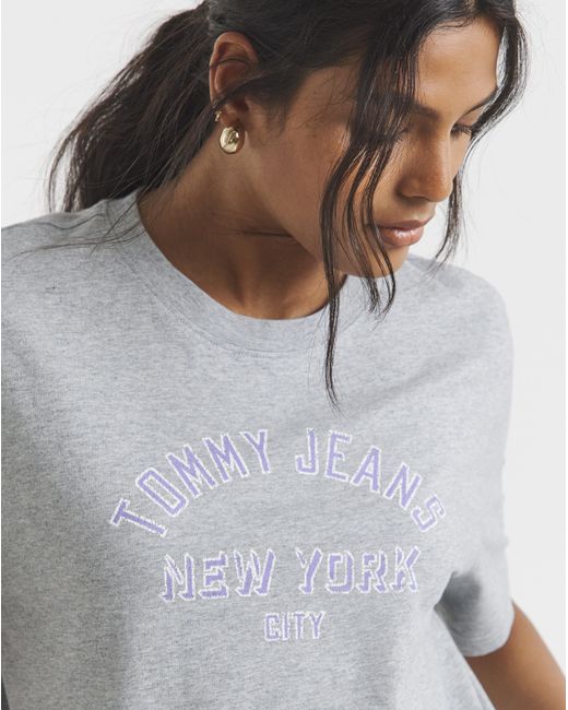 Tommy Hilfiger Gray Boxy Varsity T-Shirt