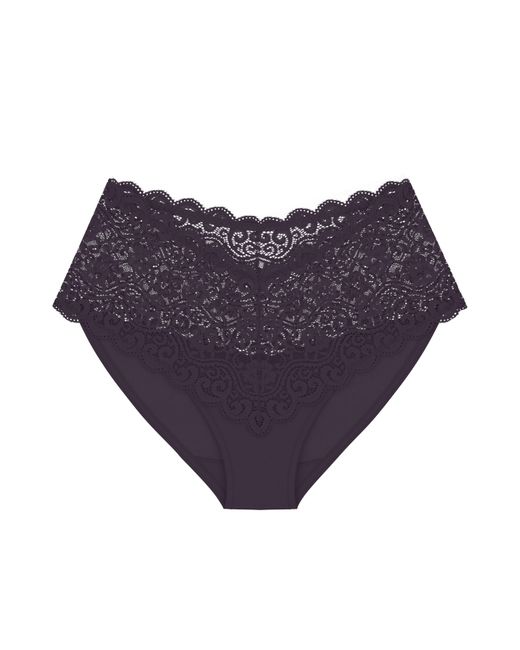 Triumph Blue Amourette Maxi Briefs