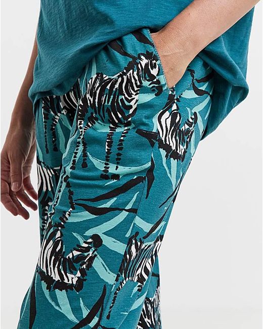 JD Williams Blue (2 Pack) Cotton Pyjama Sets