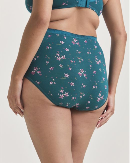 Slimma Blue 4 Pack Full Fit Knickers