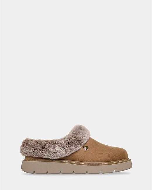 Skechers Brown Bobs Keepsake Lite E Fit