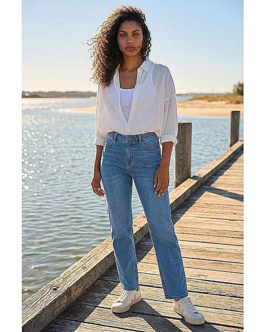 Roman Petite Blue Stretch Straight Leg Jeans