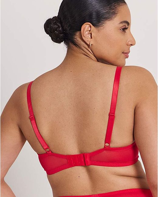 Pretty Secrets Ivy Basic Lace Full Cup Wired Bra