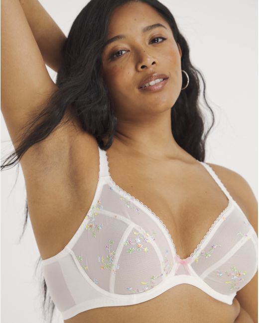 Panache Brown Meadow Plunge Wired Bra
