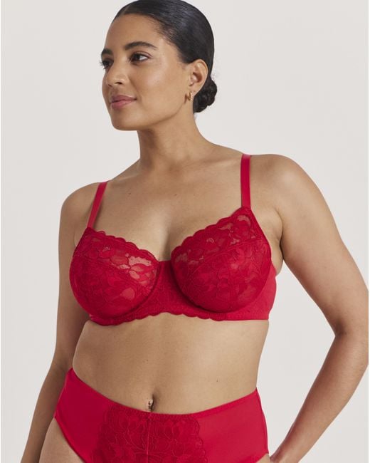 Pretty Secrets Ivy Basic Lace Full Cup Wired Bra
