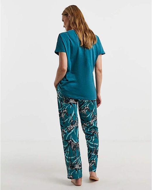 JD Williams Blue (2 Pack) Cotton Pyjama Sets