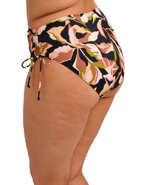 Elomi Black Ocean Avenue Bikini Brief