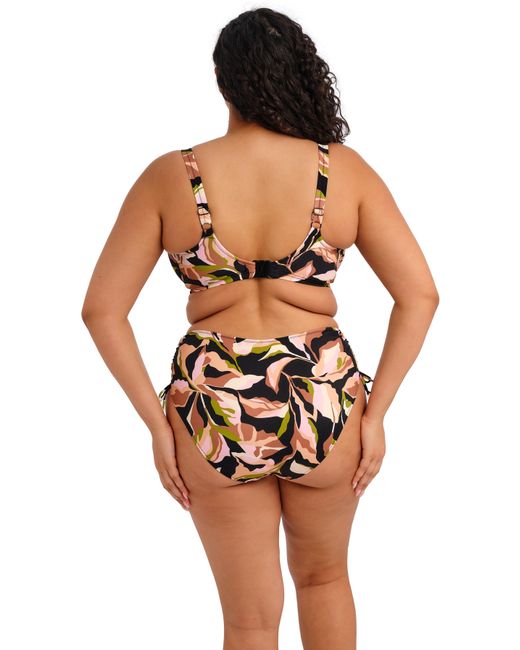 Elomi Black Ocean Avenue Bikini Brief