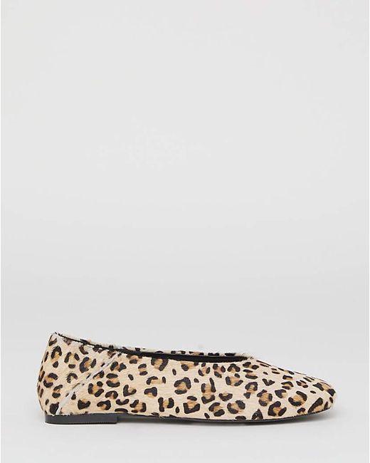 Simply Be Blue V Cut Leather Ballerina Extra Wide