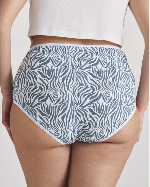 Pretty Secrets Blue 6 Pack Full Brief