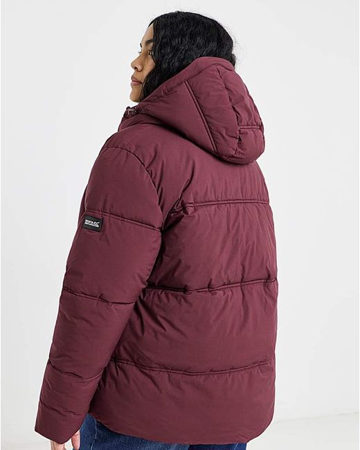 Regatta Purple Roxienne Coat