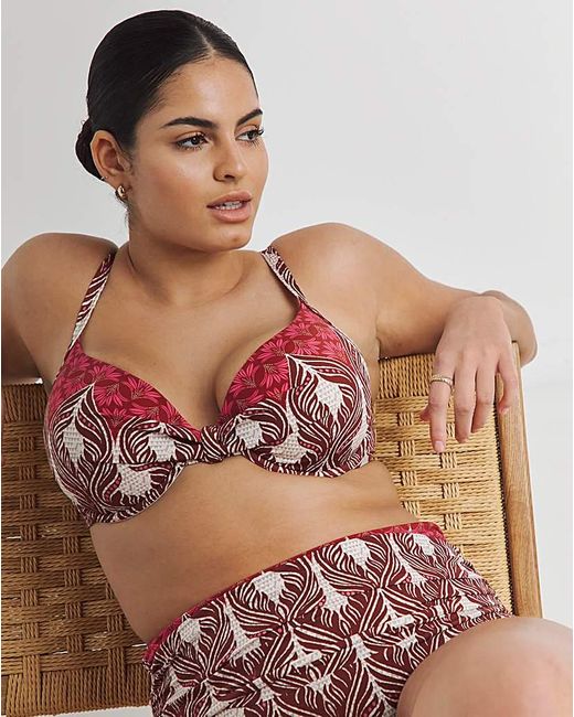 JD Williams Brown Underwired Bikini Top