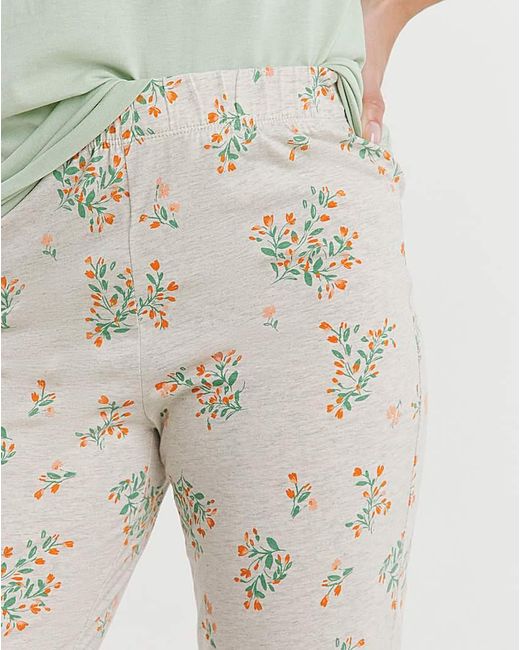 JD Williams Green Value Pj Set