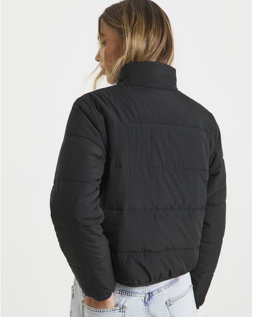 Tommy Hilfiger Blue Padded Jacket