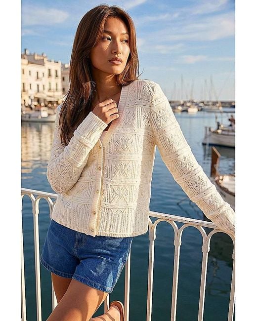Roman Blue Roman Pointelle Knit Cardigan